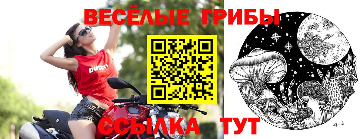 Галлюциногенные грибы Cubensis  Галлюциногенные грибы ЛСД  Чехов  Вход с VPN 